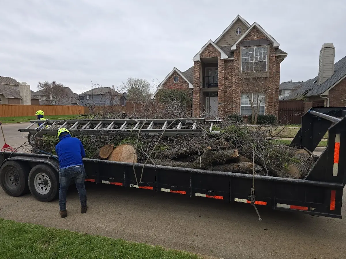 Expert Tree Pest Control with proper safety equipment in Rea